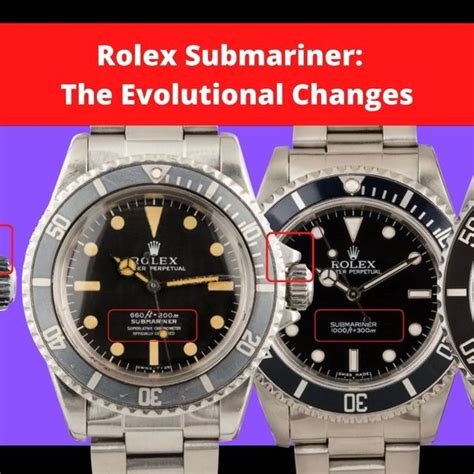 rolex investor relations|Rolex subsidiaries.